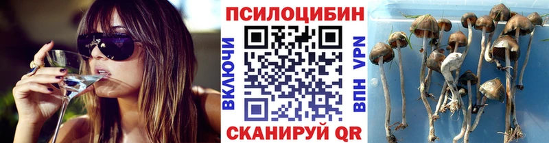 Псилоцибиновые грибы Psilocybe  Юрюзань 